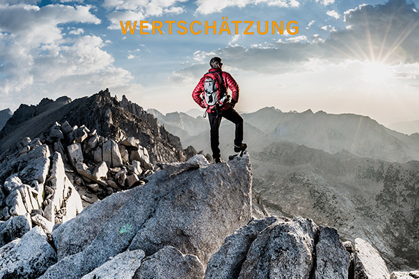 Cintellic-Werte6