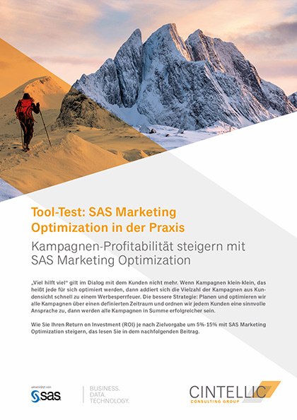 Whitepaper von Cintellic SAS Marketing Optimization