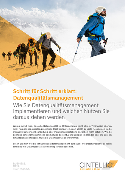 Datenqualitatsmanagement Cintellic Consulting