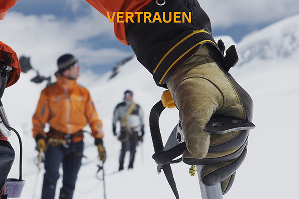 Cintellic-Werte5b
