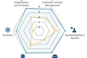 CXM-Assessment-Analyse-Spinne