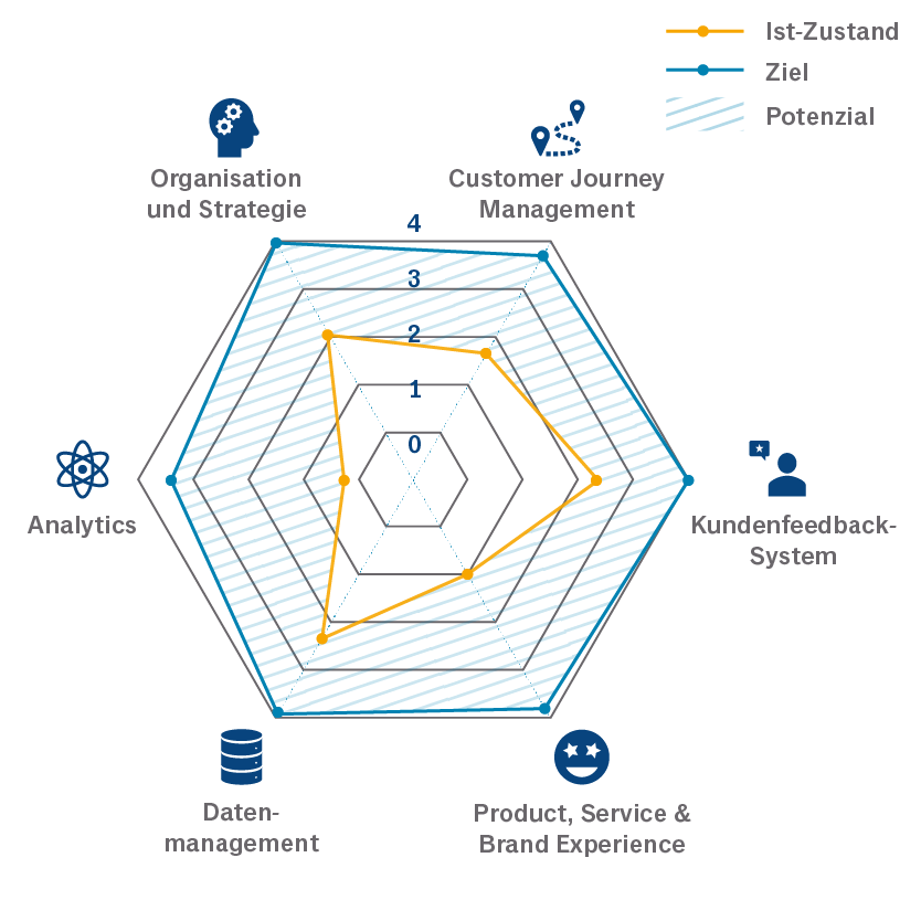 CXM-Assessment-Analyse-Spinne