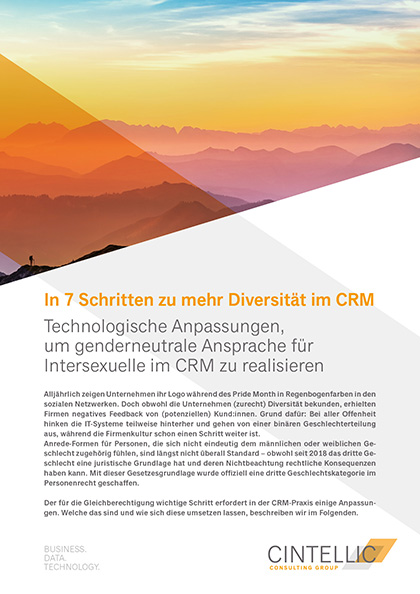 Cintellic_7-Schritte-zu-mehr-Diversitaet-im-CRM