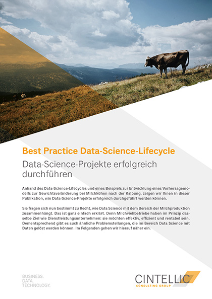 Cintellic_Best-Practice-Data-Science-Lifecycle