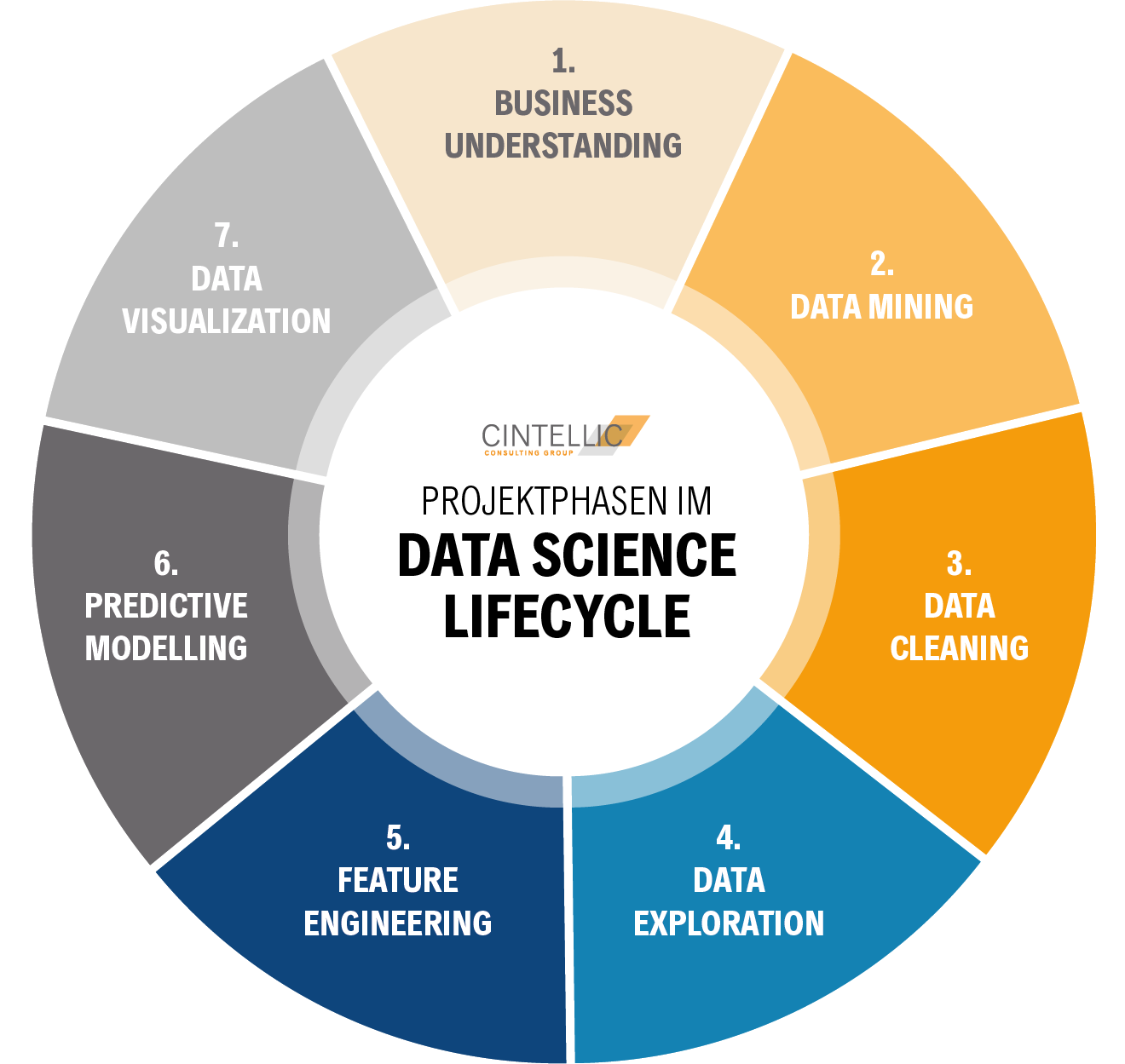 Abbildung des Data Science Lifecycle