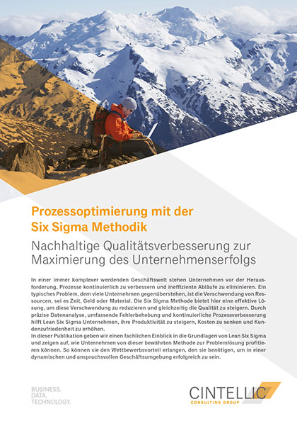 Titelbild einer Publikation zur Prozessoptimierung mit der Six Sigma Methodik