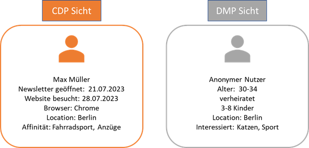 Gegenüberstellung CDP und DMP - Datensicht