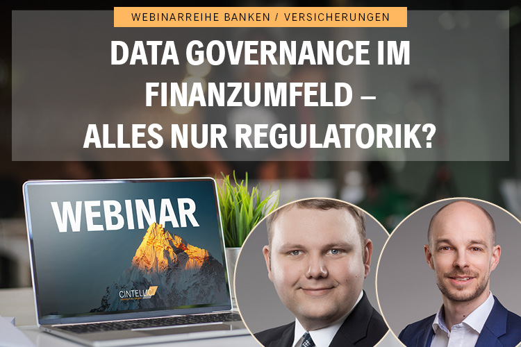 Webinar Titelbild Data Governance im Finanzumfeld