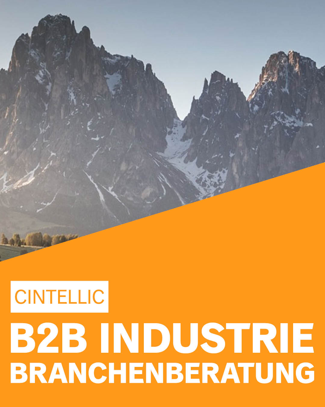 CINTELLIC-Consulting-Beratung-Branche-B2B-Industrie-Branchenberatung-deutschlandweit