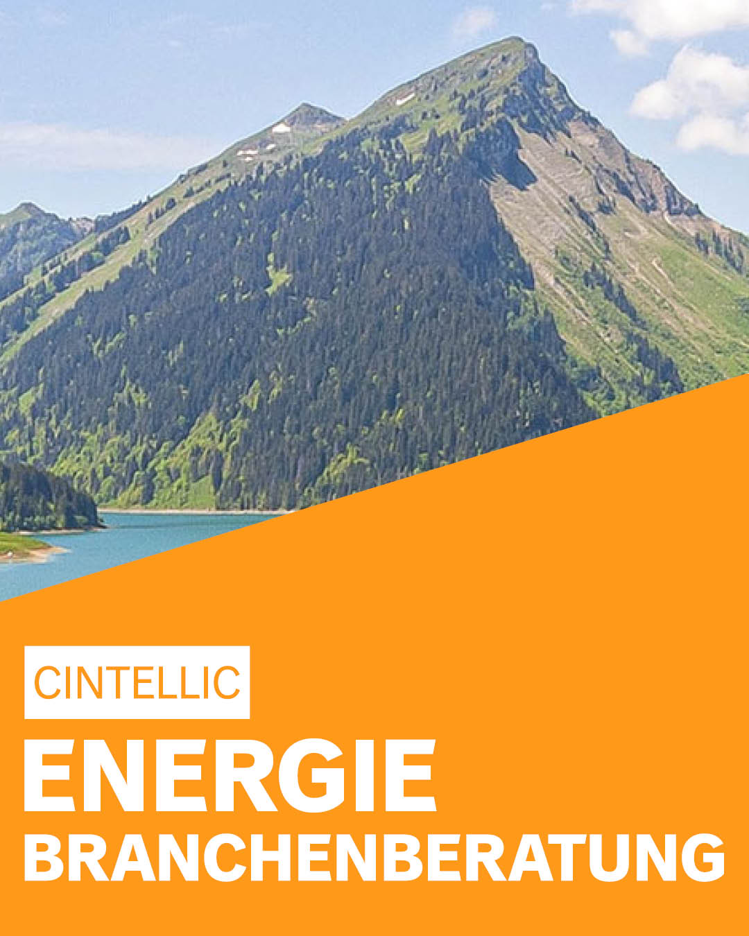 CINTELLIC-Consulting-Beratung-Branche-Energie-Branchenberatung-deutschlandweit