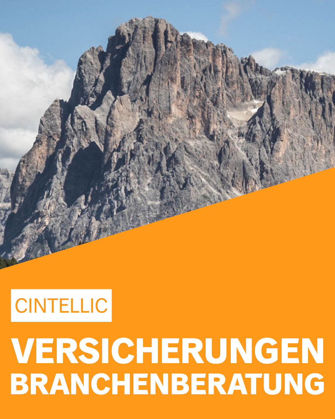 CINTELLIC-Consulting-Beratung-Branche-Versicherungen-Branchenberatung-deutschlandweit