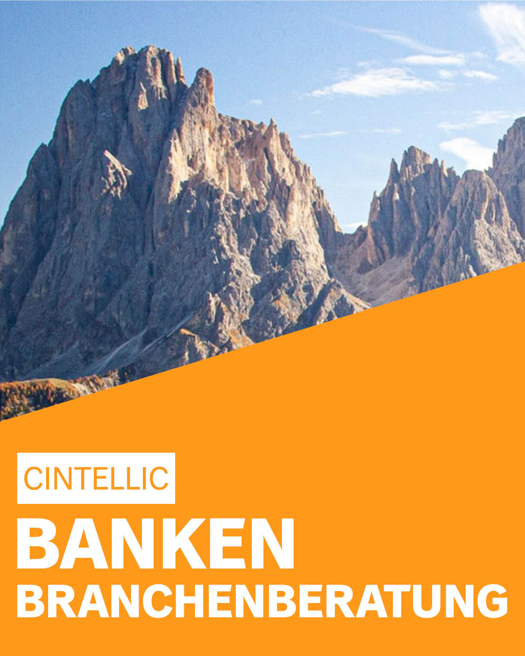 CINTELLIC-Consulting-Beratung-Branchen-Banken-Branchenberatung-deutschlandweit