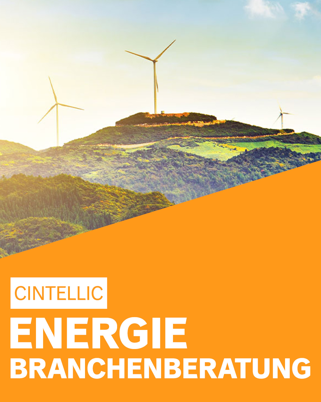 CINTELLIC-Consulting-Beratung-Branche-Energie-Branchenberatung-deutschlandweit