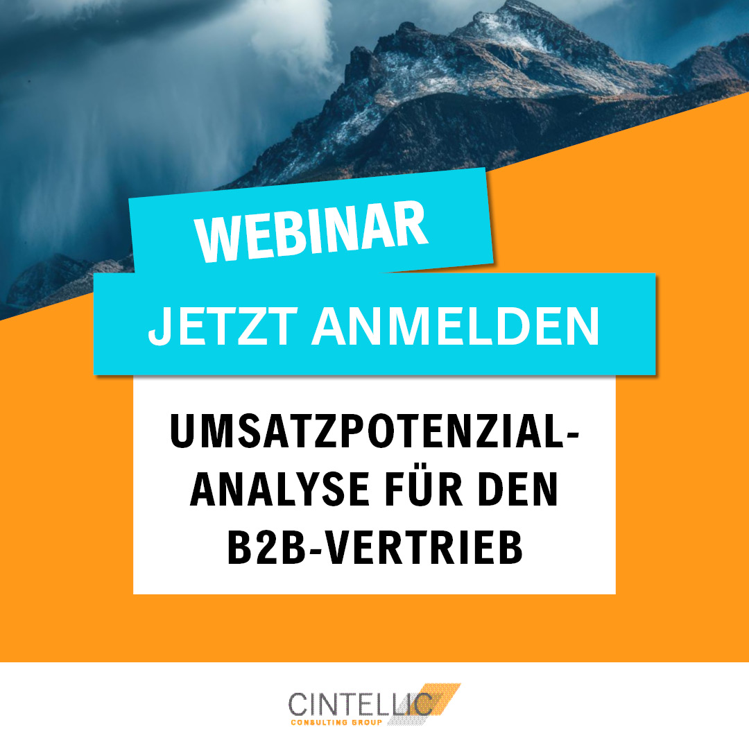 2026-06 Umsatzpotenzialanalyse für den B2B-Vertrieb6