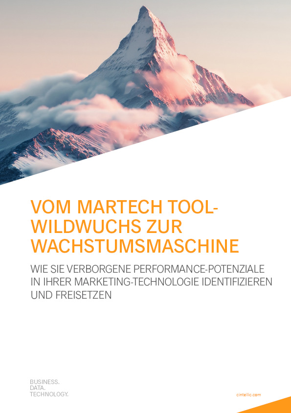 Ein schneebedeckter Berg mit rosa Wolken; Text: Vom Martech Tool-Wildwuchs zur Wachstumsmaschine.