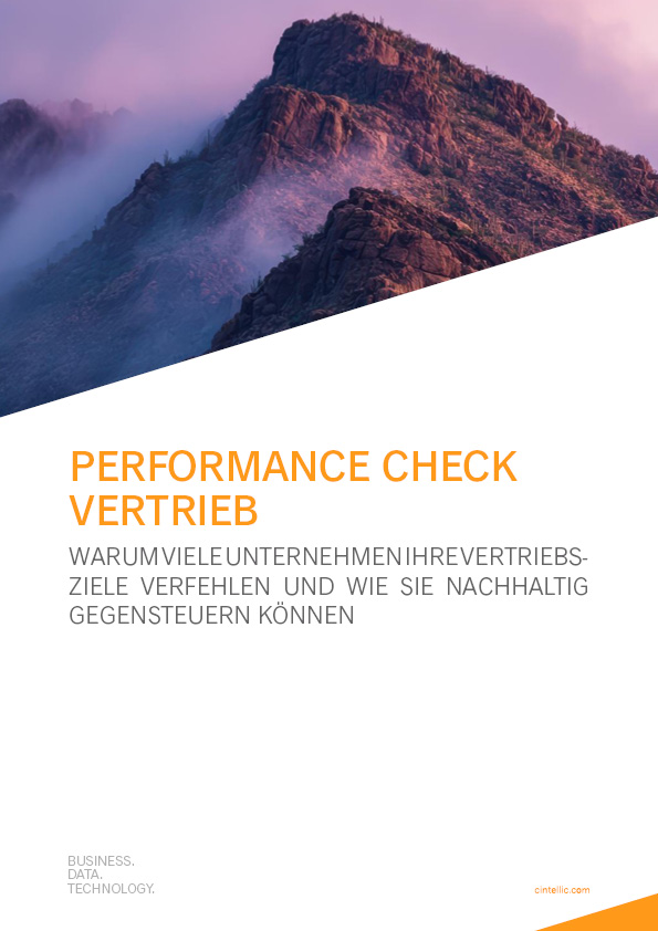CINTELLIC-Publikation-Performance-Check-Vertrieb