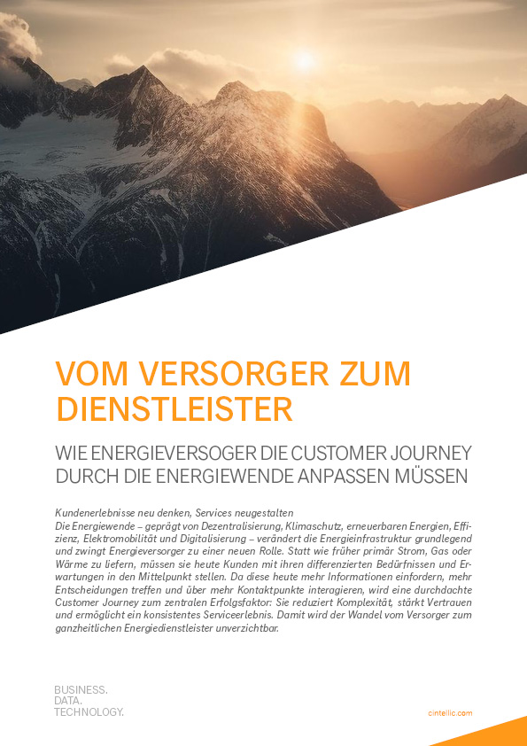 Berglandschaft im Sonnenuntergang, Text: Vom Versorger zum Dienstleister über Energiewende und Kundenservice.